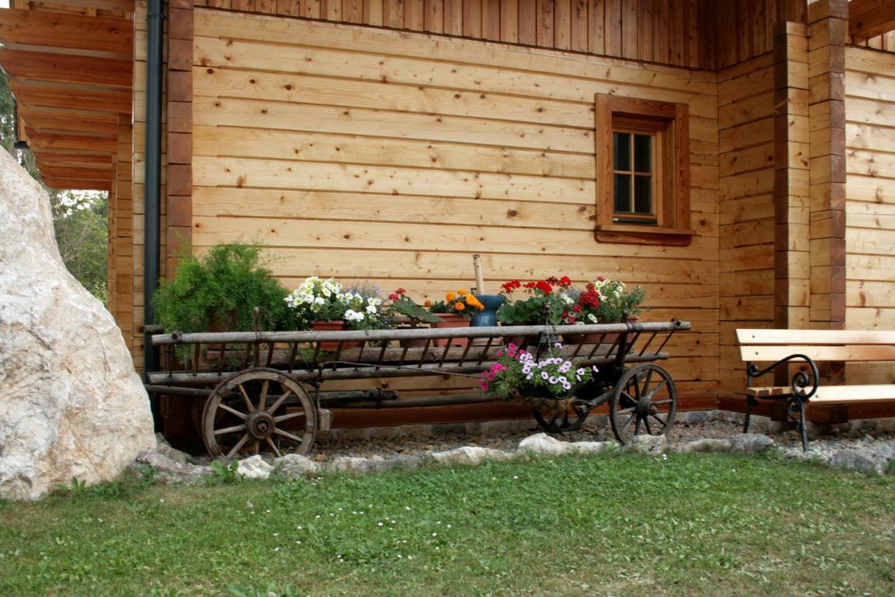 Apartment Pod Skalco Jesenice Eksteriør billede
